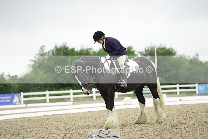 230708A-100438-00300 - Intro C