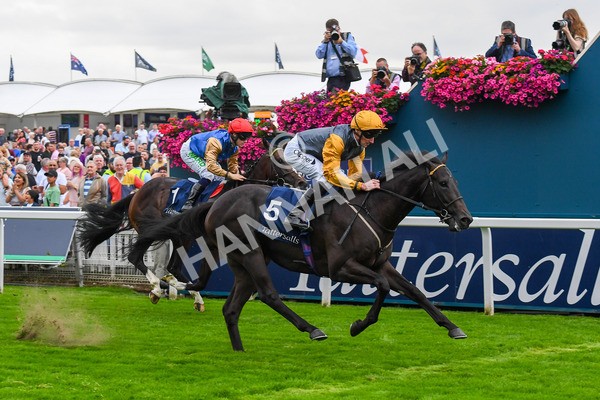 230823-Race 2-Indian Run-0345 - Race 2 2.25pm Tattersalls Acomb Stakes