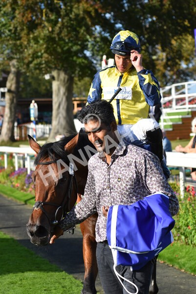 yr08102021r4-44 - Race 4 3.50pm Casumo Dare To be Different Handicap