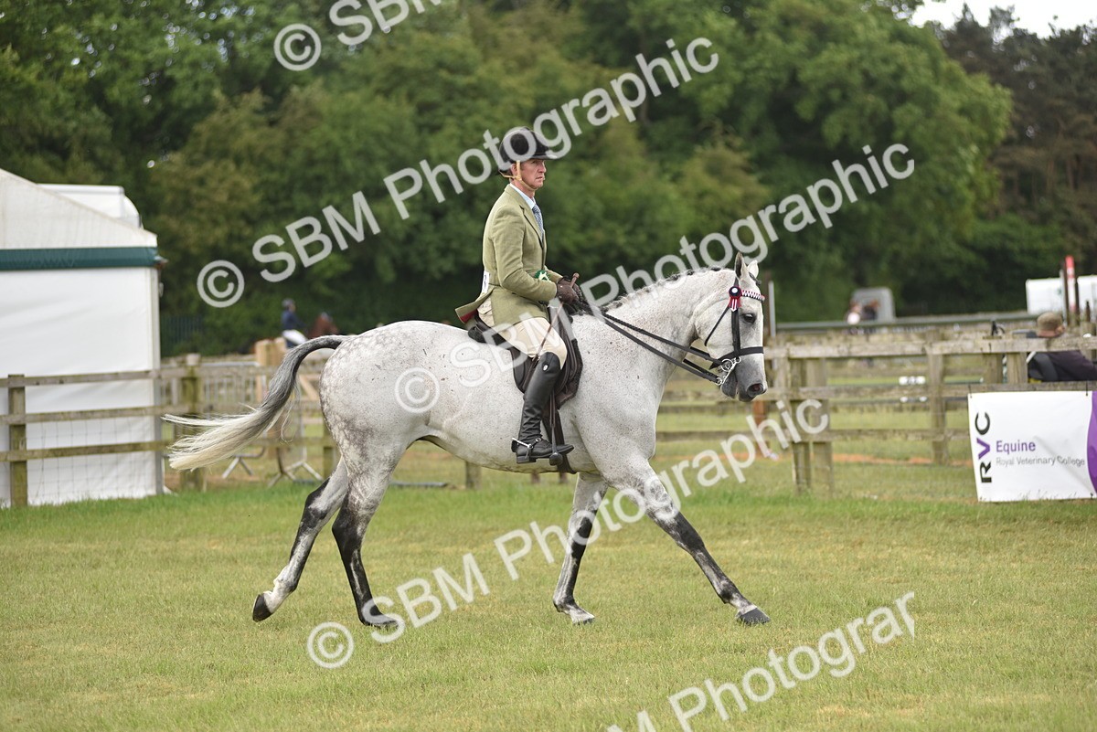 SBM_15146 - Class 113-114 - Retraining of Racehorses Ridden