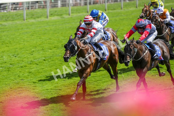 290723-Race 2-Aberama Gold-3823 - Race 2 2.40pm Sky Bet Dash Handicap