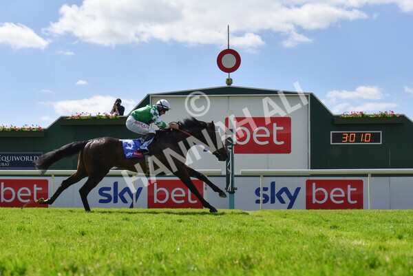 yr12062021r3-11 - Race 3 3.05pm Sky Bet Race to the Ebor Grand Cup