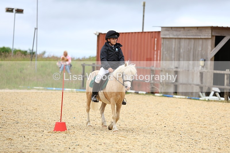 3E7A9405 - Walk trot run