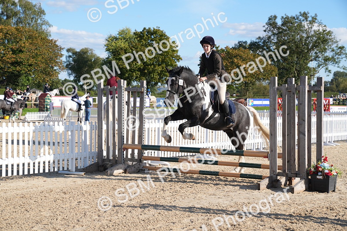 SBM_28024 - J43 - Super Speedy Scurry Open - 60cm