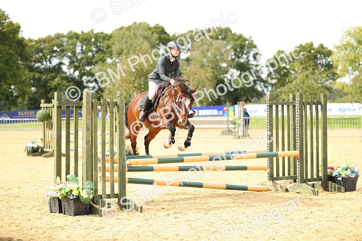 SBM_67173 - J17 - Junior Pony 80cm Championship