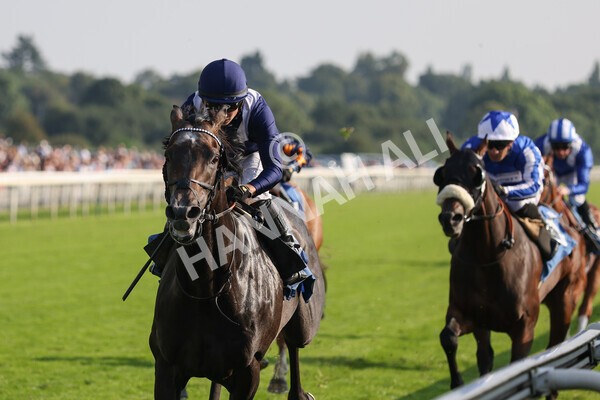 yr05092021r6-11 - Race 6 4.50pm Hanson Spring Stakes