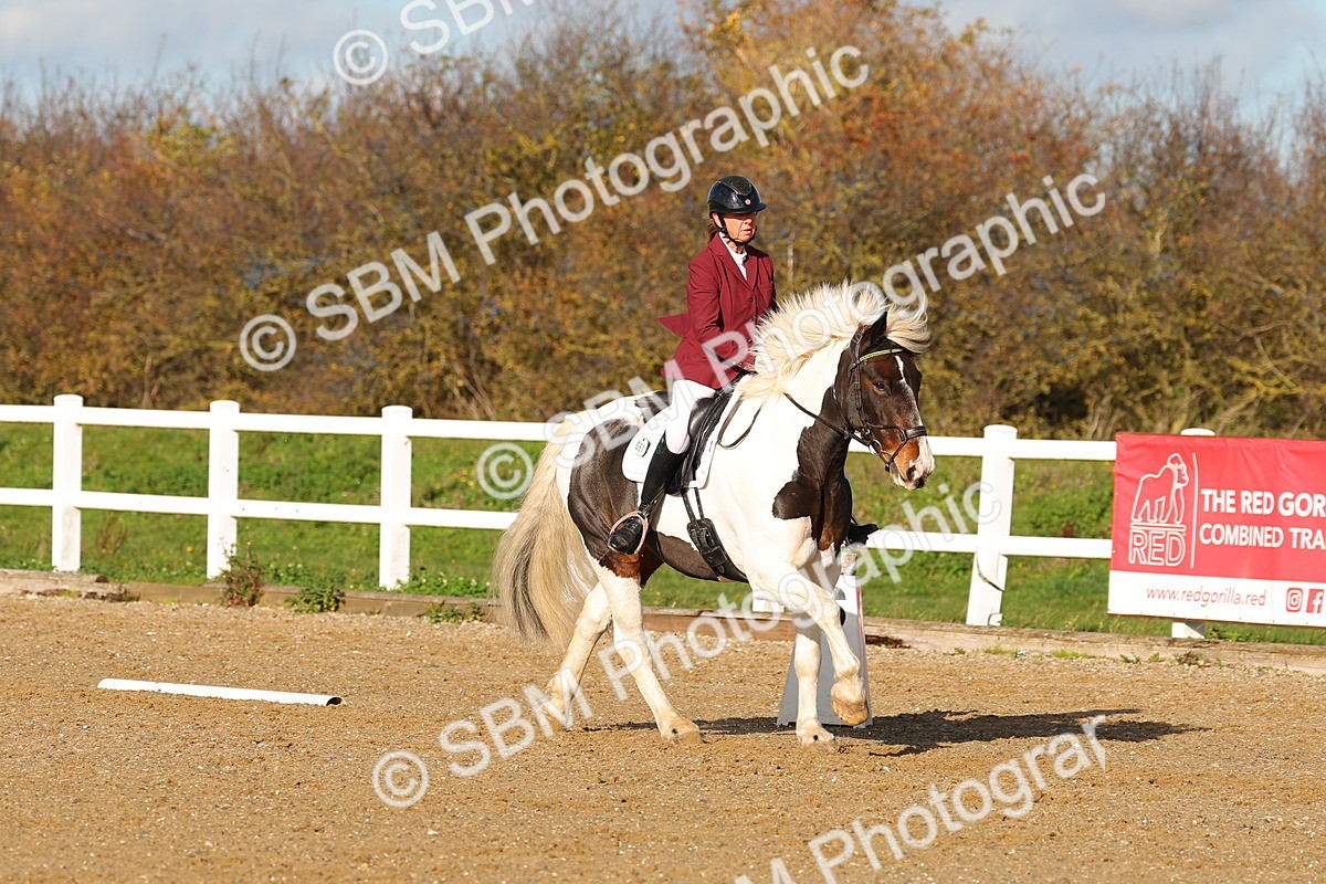 SBM_000591 - Novice 4