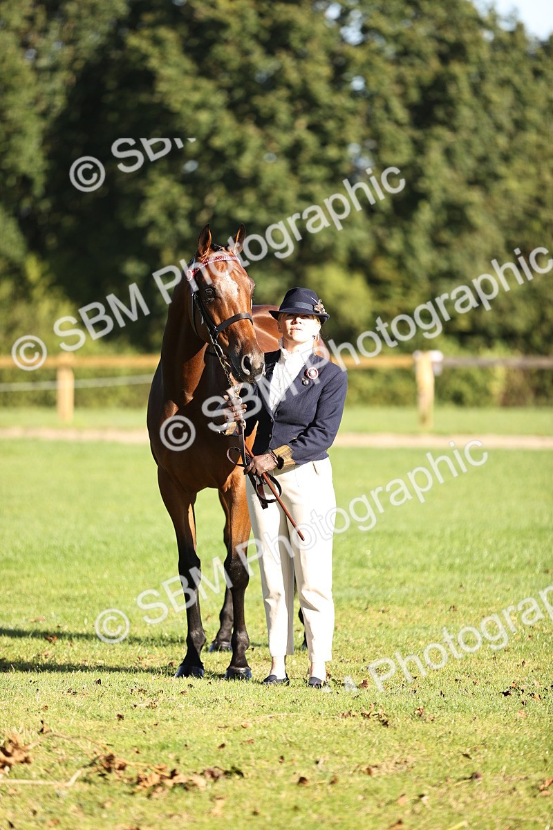 SBM_15676 - S1 - TSR in Hand Horse & Pony Showing