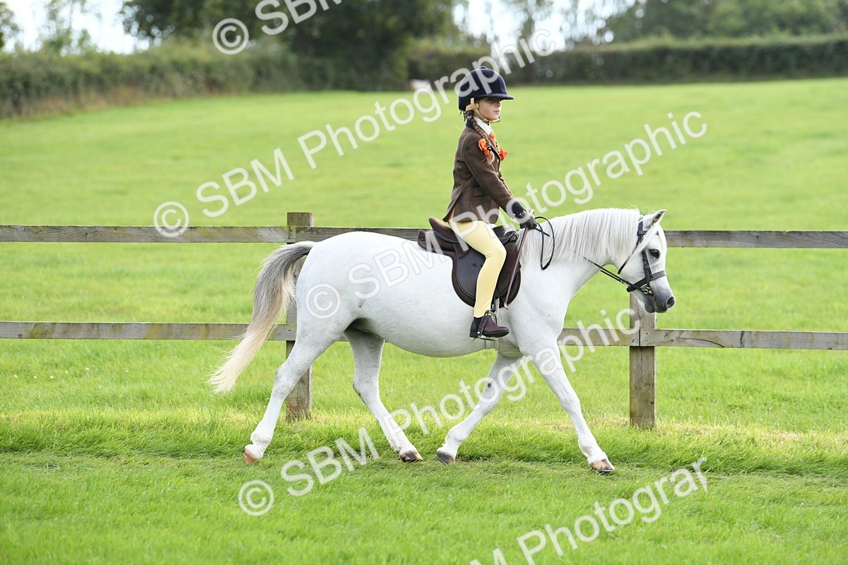 SBM_46714 - S12 - Family Horse & Pony