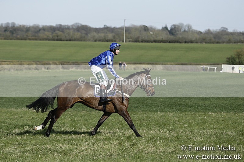 PtP 250317 245 - V.W.H. Hunt Point-to-Point Siddington 25/03/17