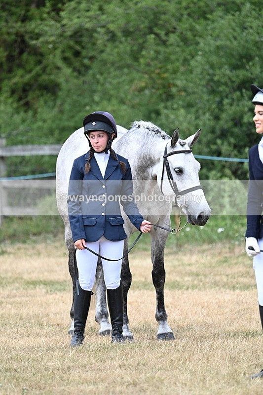 WJ7_1833 - Class 4a Prettiest Mare 14.2hh and over hand
