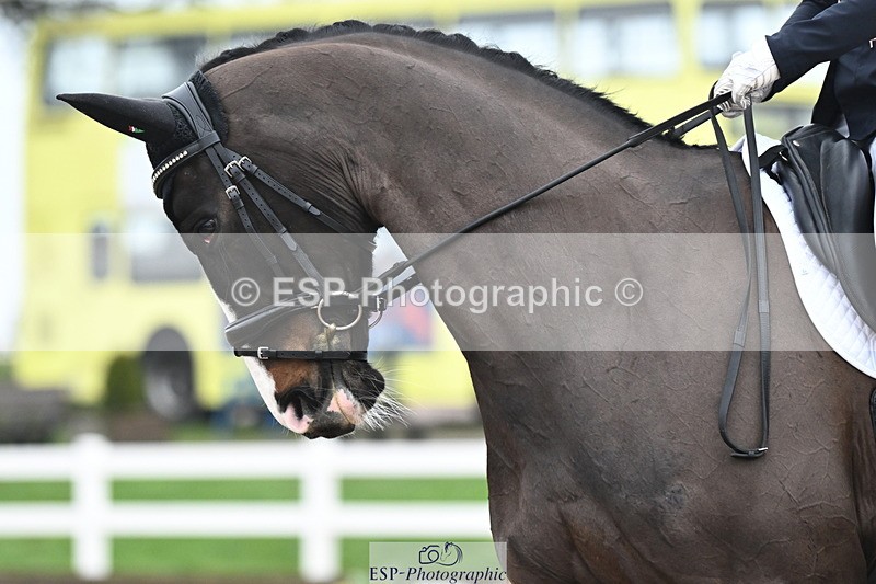 240217A-113948-02383 - 161-Katie.Warner-Active.Nuvalari