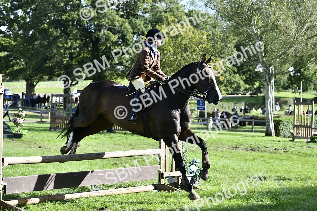 SBM_50009 - S34 - Novice & Newcomers Working Hunter