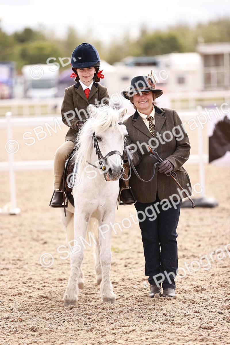 SBM_18300 - Class 417 - Handsome Gelding (IH or Ridden - JNR)