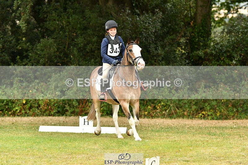 ZZZDeleted250820A-123716-05630_12 to 1300 - 077-332-2719