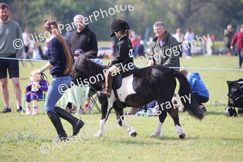 20260426-2537 - Class 31 - Leading Rein