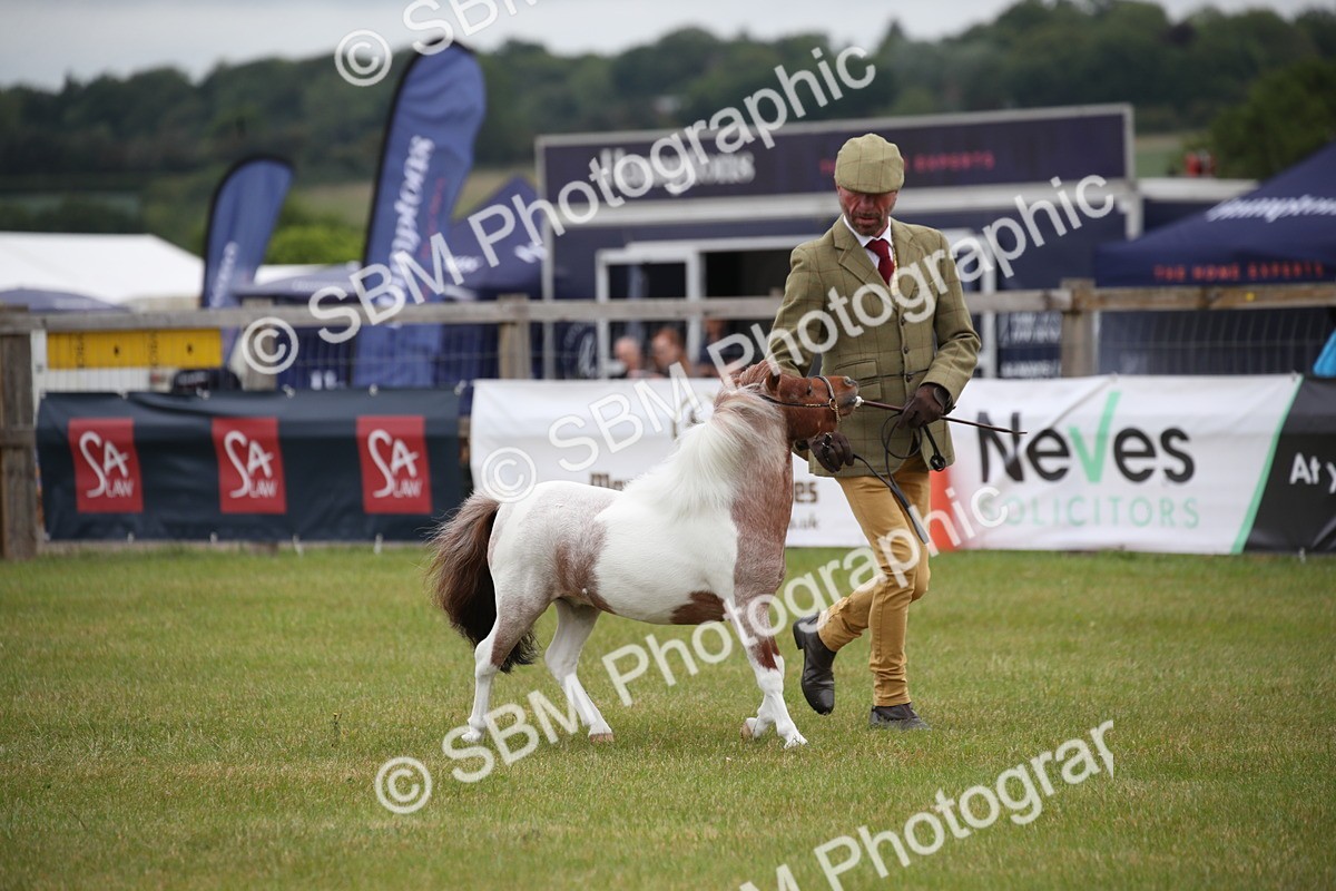 SBM_03705 - Class 23-25 - British Miniature Horse of the Year