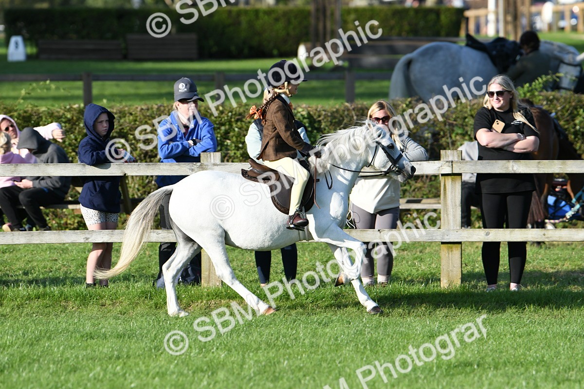 SBM_54050 - S23 - 1st Ridden Mountain & Moorland Pony