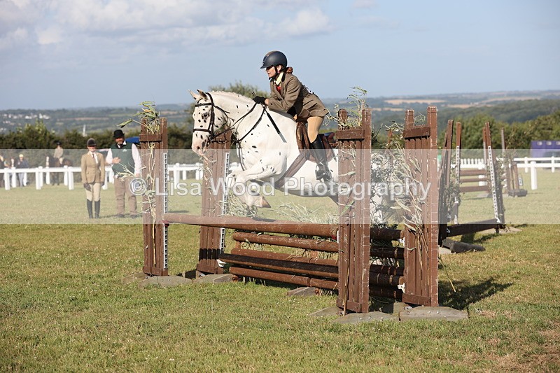 JPP_3162 - Class 21: Working Hunter 80cm