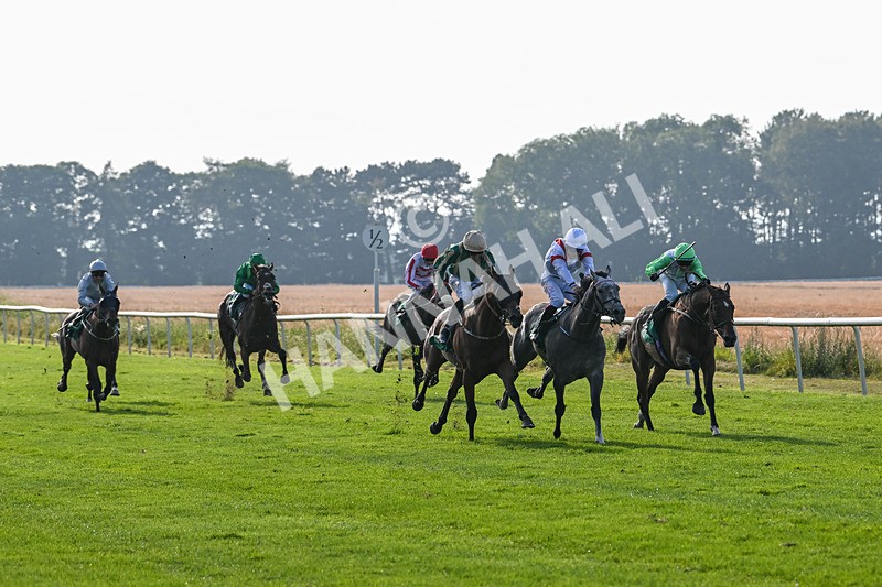 300824-Race 7-The Crafty Mole-6462 - Race 7