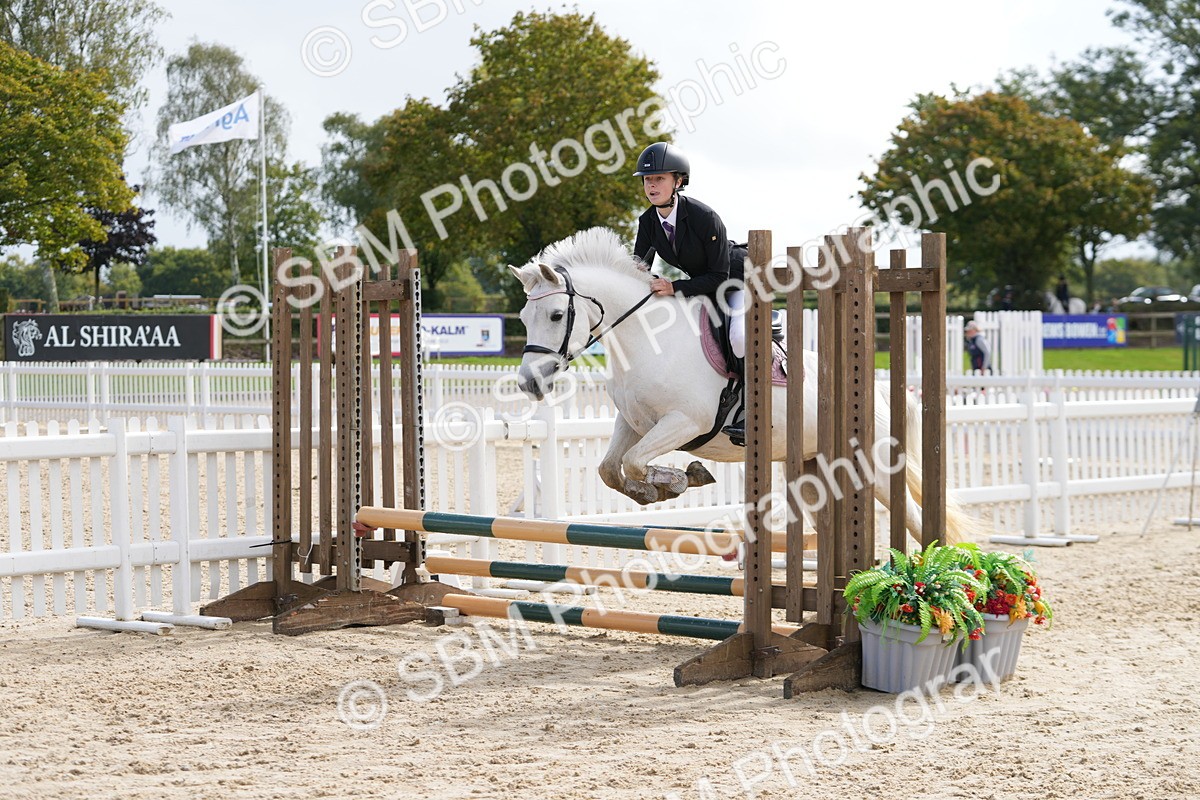 SBM_40787 - Supreme championship 50cm 55cm