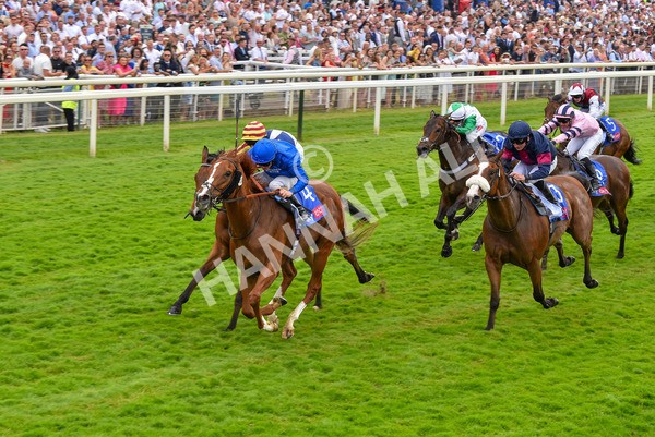 170623-Race 2-Wild Lion-7000 - Race 2 2.35pm Sky Bet Handicap