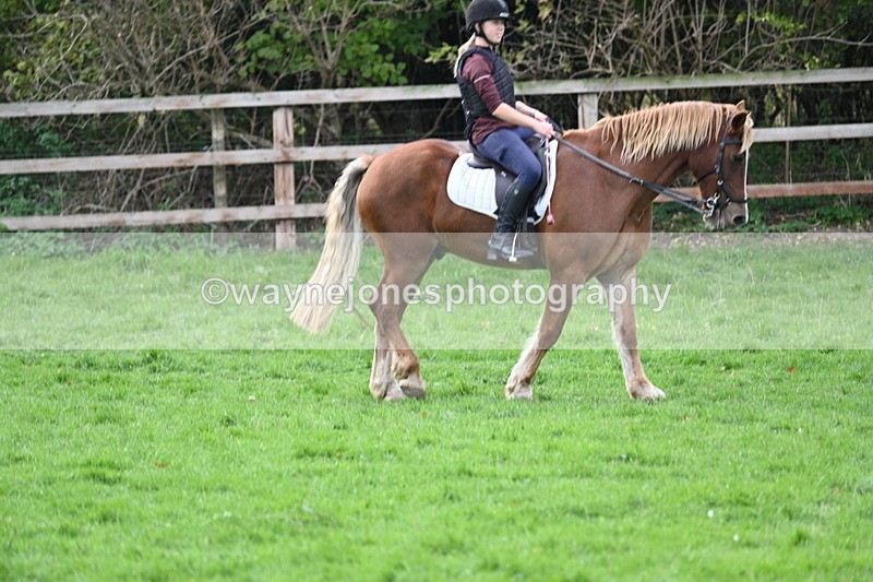 WJ7_9567 - Time 12:55 to 13:13