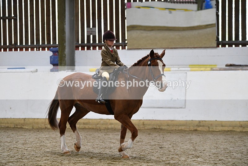 WJ5_6387 - Class 9 Ridden Veteran