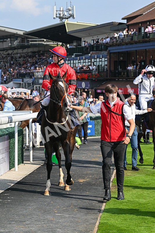 240825-Race 4-Lady Hornblower-3059 - Race 4