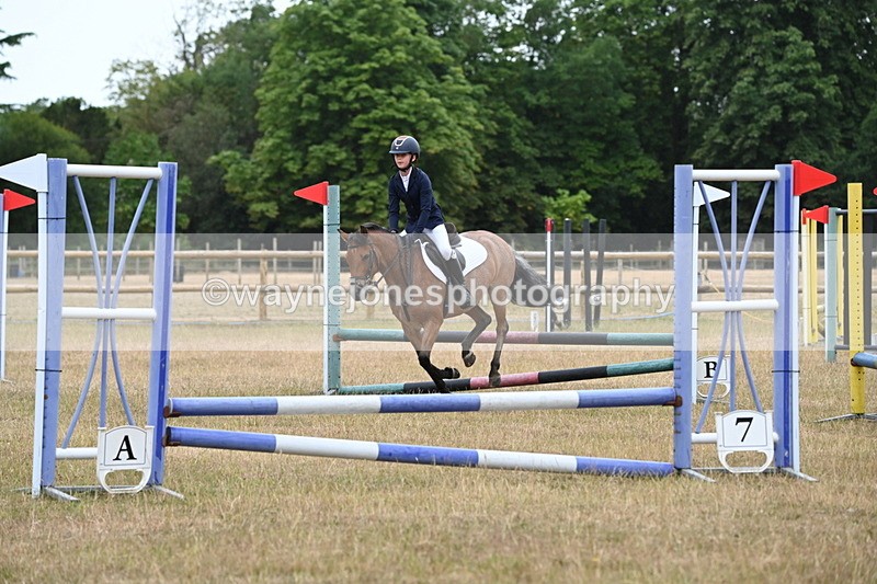WJ6_9996 - Class 13 Novice Jumping 60cm