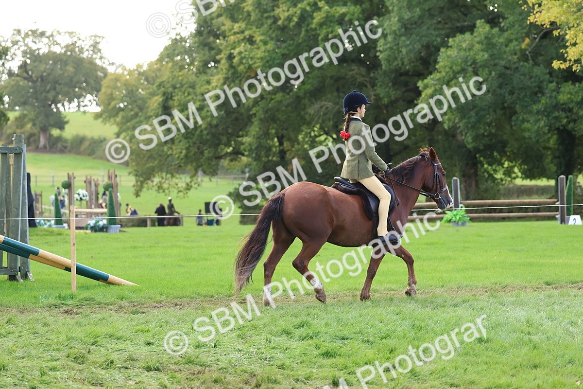 SBM_47616 - S28 - Veteran Ridden