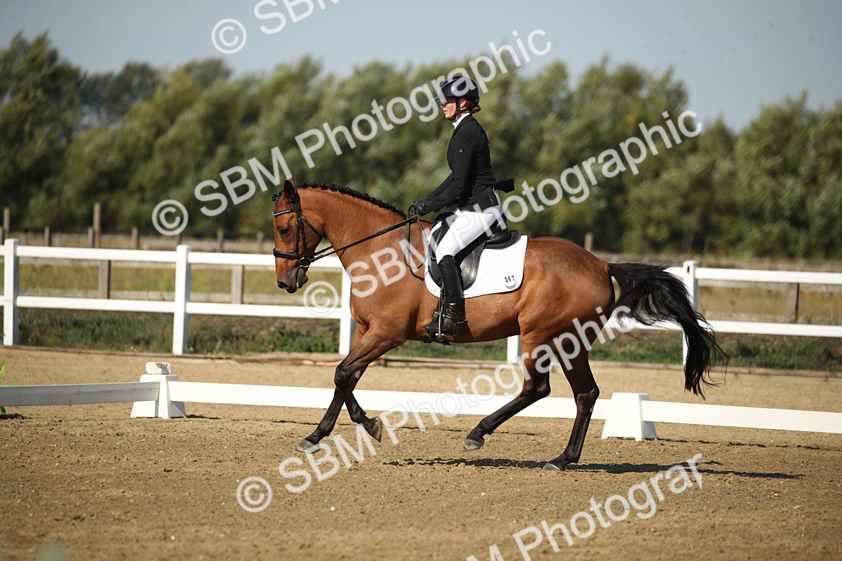 SBM_004557 - Class 11 - Novice 5 - 9.0010.03