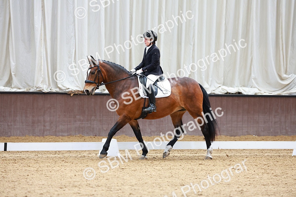 SBM_001331 - Class 5 - Novice 5