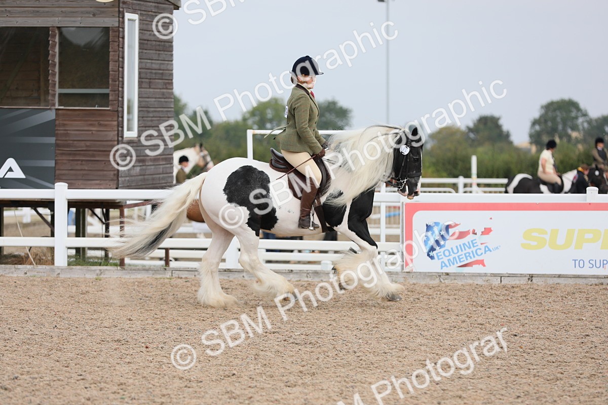 SBM_12801 - Class 307 Ridden Coloured Pony