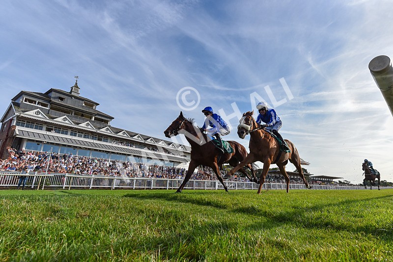 140826-Race 2-National Honour-5352 - Race 2 18.08pm JW 4x4 Northallerton Irish EBF Novice Stakes