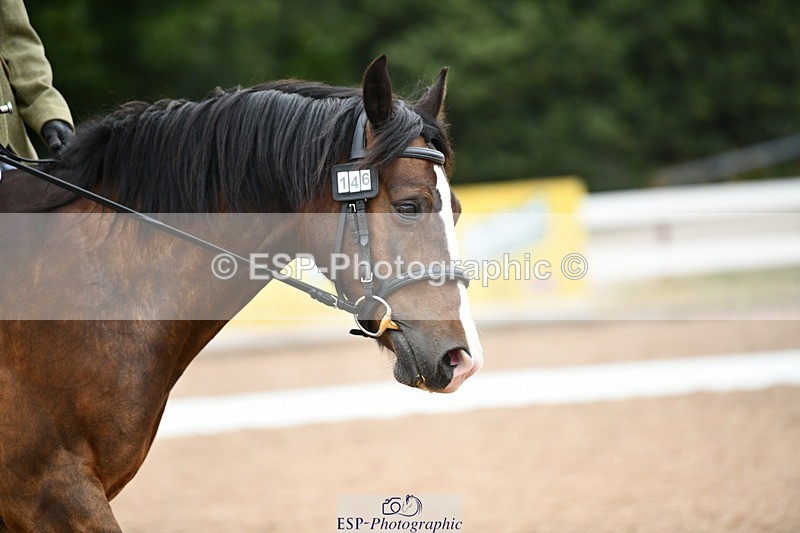 250705-101514-00182 - BRCP1 Sections BRCP1SNR, BRCP1JNR 09-30 to 10-40