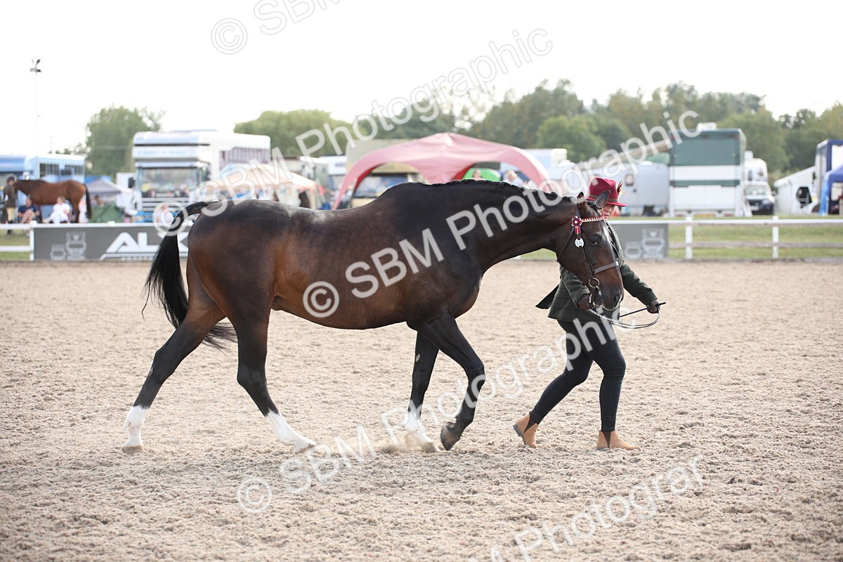 SBM_07119 - Class 25 IH Foreign Breeds- Pure bred