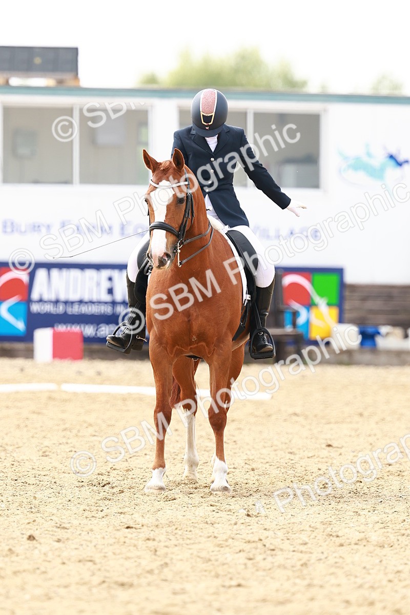 SBM_002840 - Class 12 - Medium 4