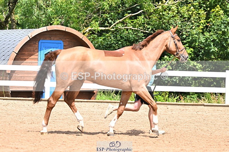 240718A-105303-01488 - Trot Up 12pm to 1pm