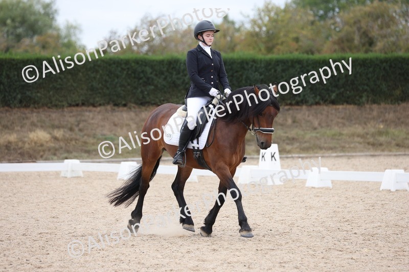 20250820-1215 - Class 18 - Elementary 5