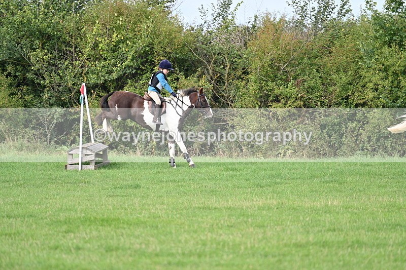 WJ7_8416 - 60cm Pairs