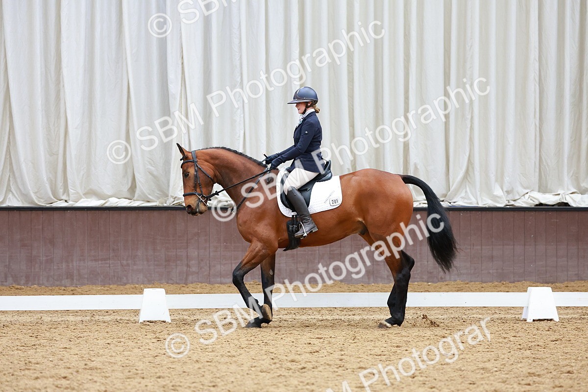 SBM_003263 - Class 11 - Novice 2
