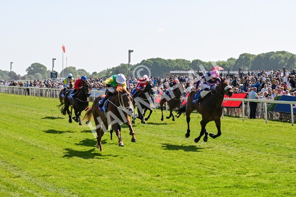 160525-Race 3-Kon Tiki-6434 - Race 3 3.13pm Sky Bet Fillies' Stakes