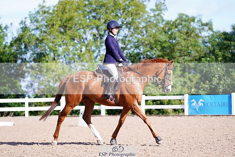 240809A-090456-00146 - Dressage Competition