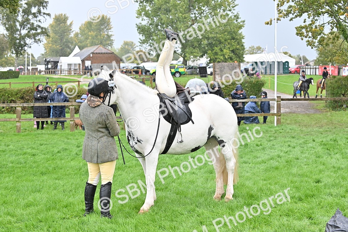 SBM_43029 - S12 - Family Horse & Pony