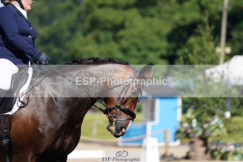 240719-094926-00352 - 271-Lauren_Gage-Creevagh_Miss_Bonnie