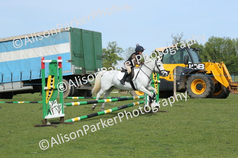 20260426-1542 - Class 14 - Novice 60cm