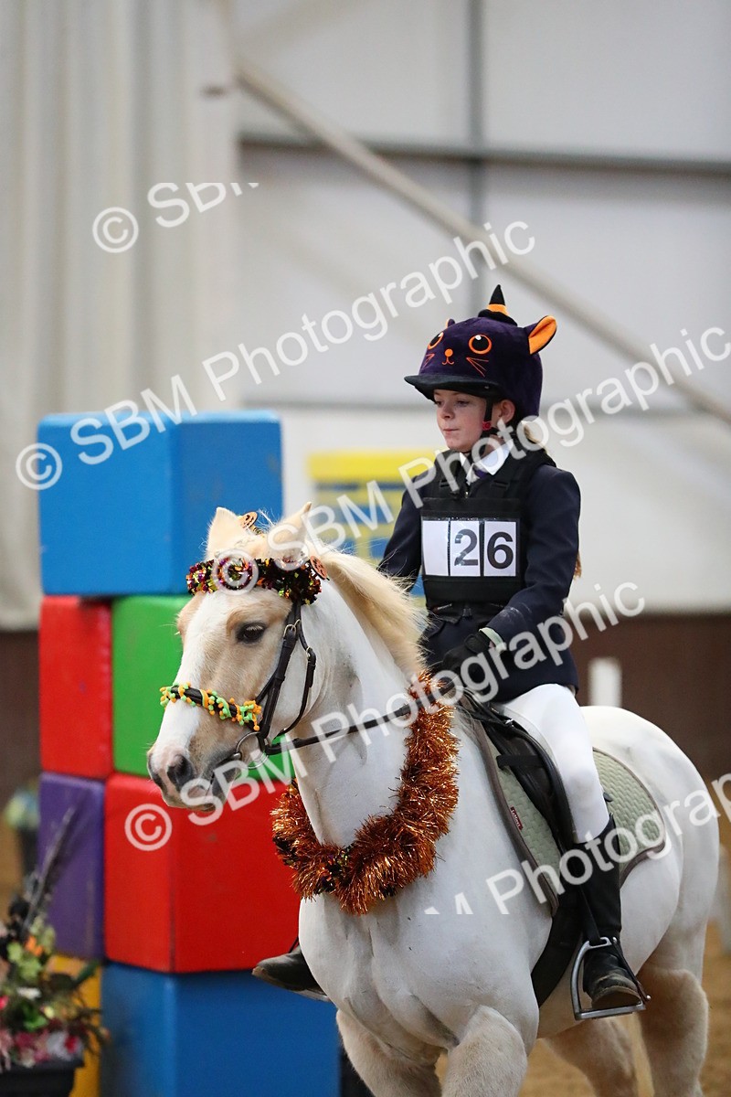 SBM_000131 - Class 1 - Show Jumping 50cm
