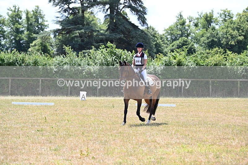 WJ6_4889 - Time 12:16 to 13:05