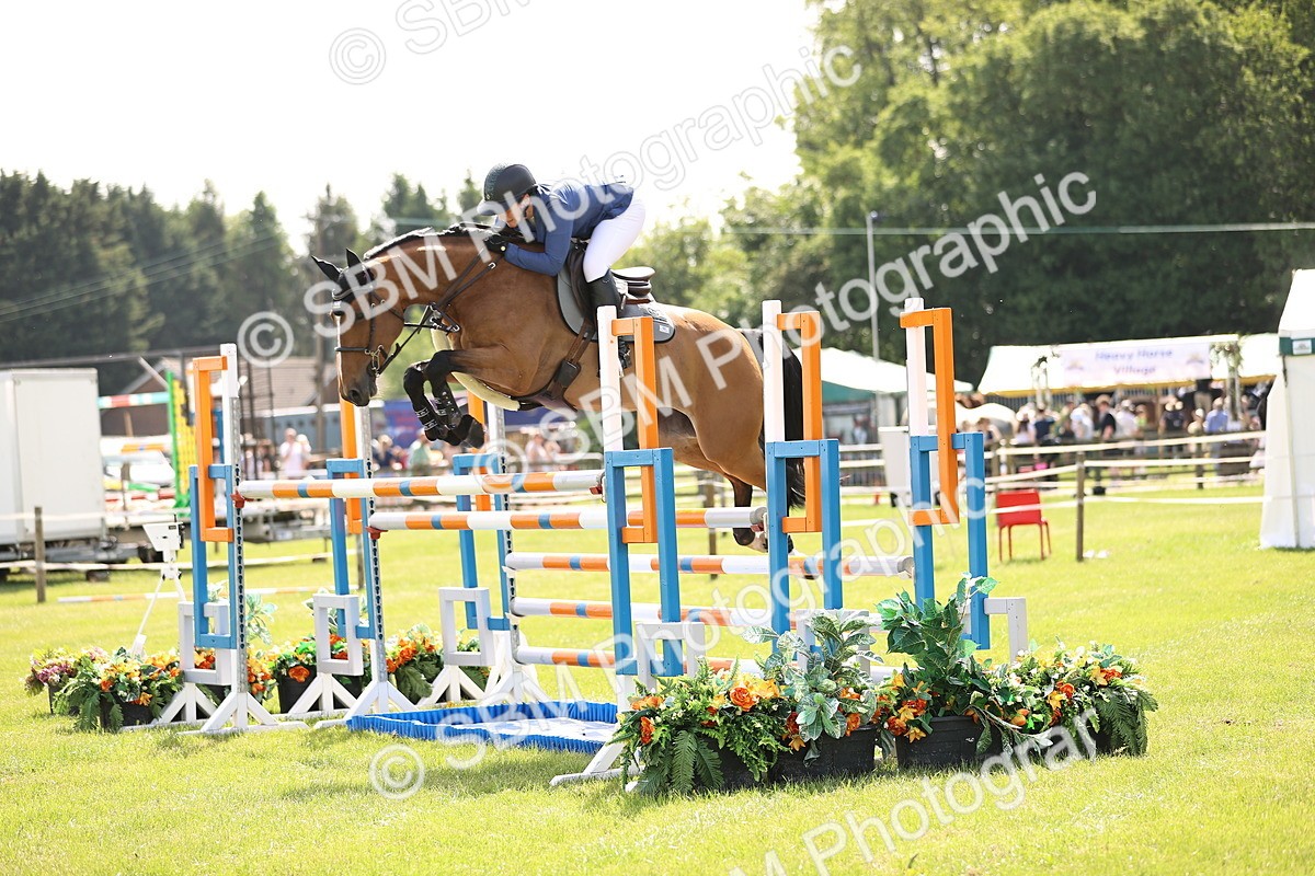 SBM_03046 - Class 201 - British Horse Feedds Speedi Beet HOYS Grade C